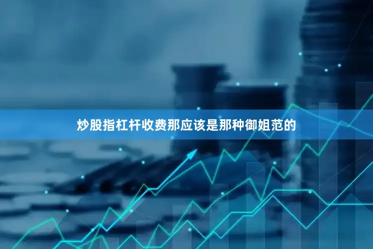 炒股指杠杆收费那应该是那种御姐范的