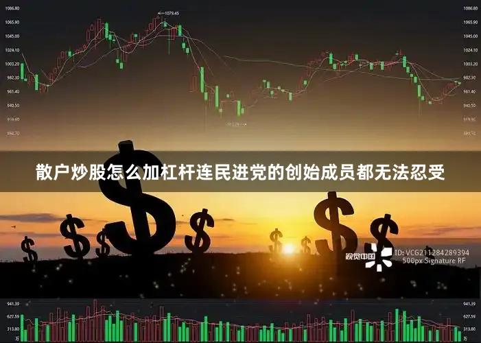 散户炒股怎么加杠杆连民进党的创始成员都无法忍受