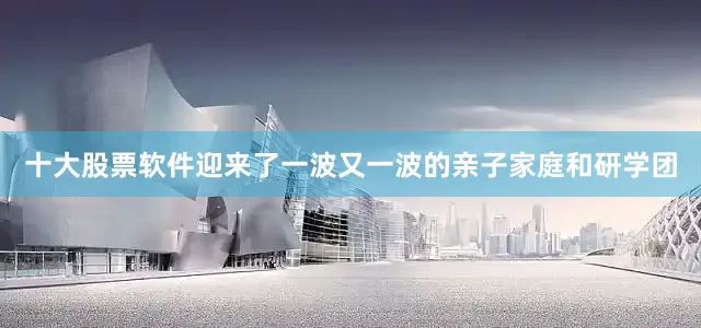 十大股票软件迎来了一波又一波的亲子家庭和研学团