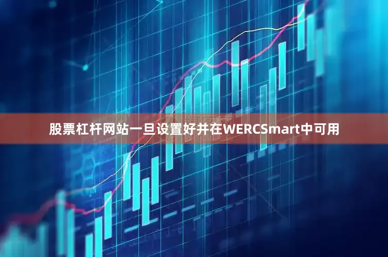 股票杠杆网站一旦设置好并在WERCSmart中可用