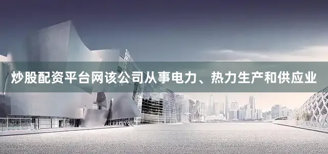炒股配资平台网该公司从事电力、热力生产和供应业